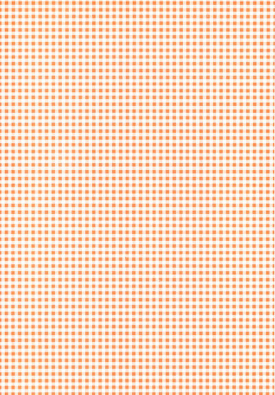 Backing Paper A4 - Orange Gingham